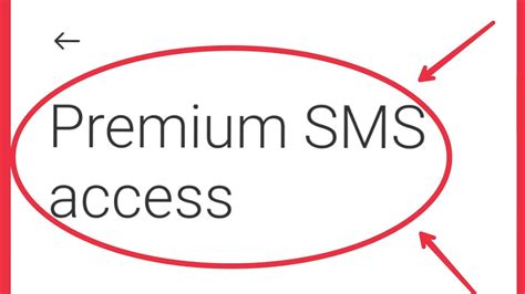 what's premium sms access.